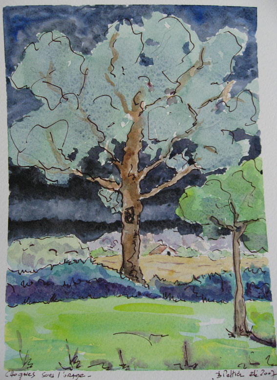"Chne sous orage" © Bernard Peltier - 2025. Tout droit de reproduction interdit sans l'autorisation de l'artiste.
