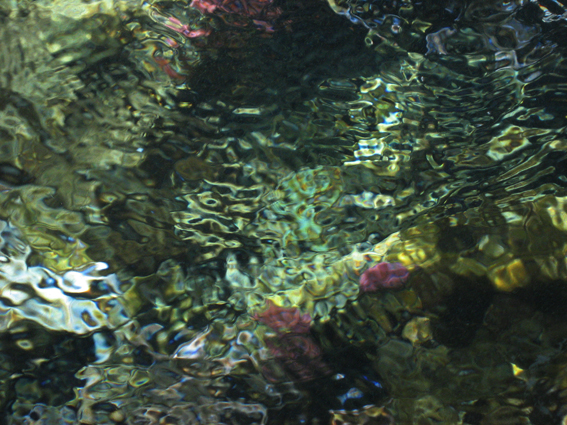 "Reflets marins" © Bernard Peltier - 2025. Tout droit de reproduction interdit sans l'autorisation de l'artiste.