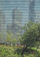 "Chicago 4" © Bernard Peltier - 2025. Tout droit de reproduction interdit sans l'autorisation de l'artiste.