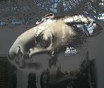 "Reflets" © Bernard Peltier - 2025. Tout droit de reproduction interdit sans l'autorisation de l'artiste.