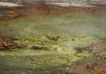 "Yellowstone 3" © Bernard Peltier - 2025. Tout droit de reproduction interdit sans l'autorisation de l'artiste.