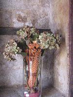 "Fleurs sches" © Bernard Peltier - 2025. Tout droit de reproduction interdit sans l'autorisation de l'artiste.