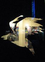 "Oiseau de nuit" © Bernard Peltier - 2025. Tout droit de reproduction interdit sans l'autorisation de l'artiste.