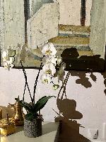 "Orchides" © Bernard Peltier - 2025. Tout droit de reproduction interdit sans l'autorisation de l'artiste.