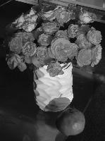 "Poire & roses" © Bernard Peltier - 2025. Tout droit de reproduction interdit sans l'autorisation de l'artiste.