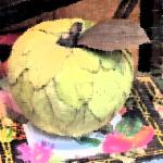 "Pomme" © Bernard Peltier - 2025. Tout droit de reproduction interdit sans l'autorisation de l'artiste.