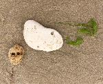 "R sur le sable" © Bernard Peltier - 2025. Tout droit de reproduction interdit sans l'autorisation de l'artiste.
