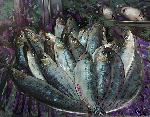 "Sardines" © Bernard Peltier - 2025. Tout droit de reproduction interdit sans l'autorisation de l'artiste.