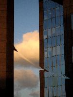"Coup de vent" © Bernard Peltier - 2025. Tout droit de reproduction interdit sans l'autorisation de l'artiste.